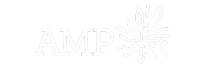 AMP-Logo